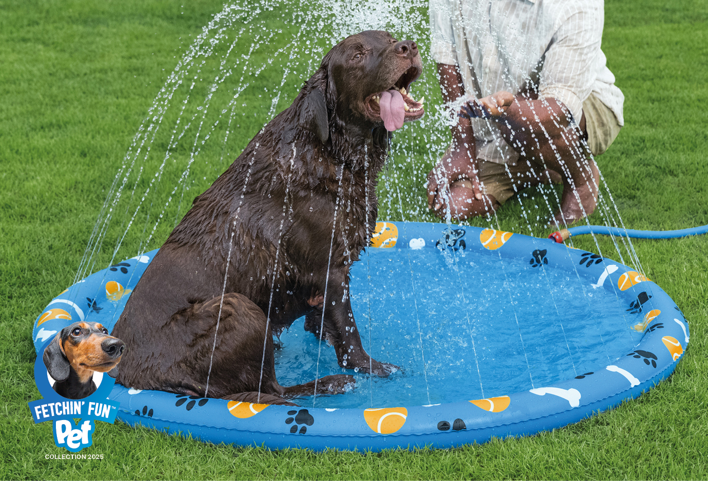 <h4>die-wassermatte-pfote:<br>--komfort-und-spiel-in-einem</h4>